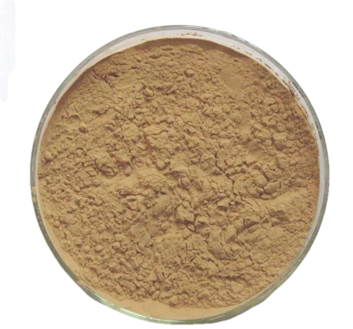 Gotu Kola Extract Powder- 10:1 - Image 2